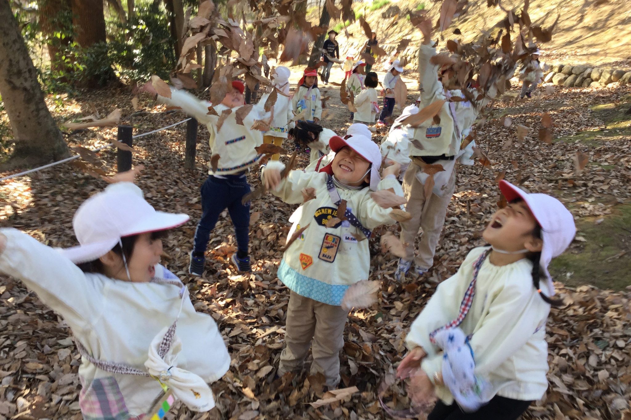 福岡幼稚園 福岡市私立幼稚園連盟